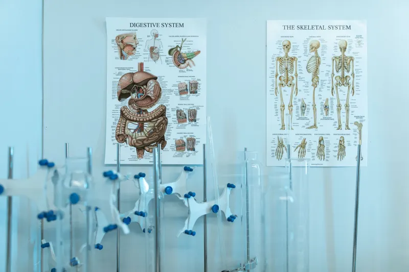 A Field Guide to Every Fluid Your Body Makes During Sex (And What's Actually True About All of It)