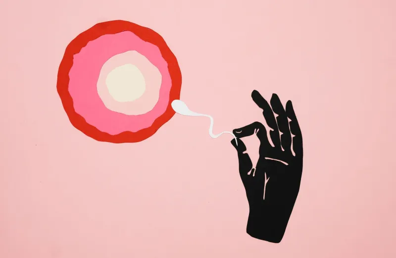 Yes, No, Maybe So: What Scientists Actually Found When They Went Looking for the G-Spot